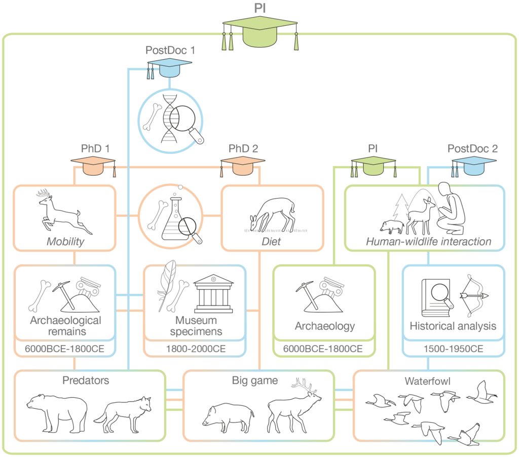 Infographic archeozoölogie.