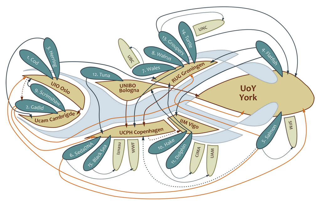 Infographic organisatie structuur onderzoeksinstituten.