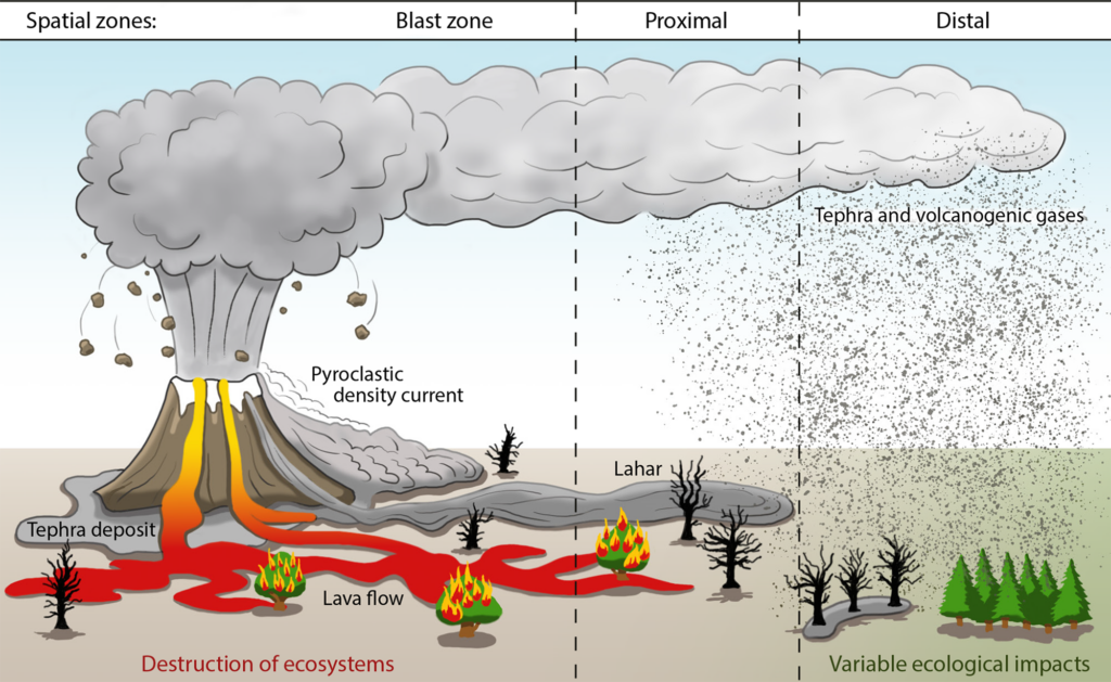 Infographic ontwikkeling vulkanisch landschap.
